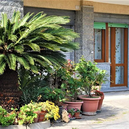 Di Rosita Pietra Ligure